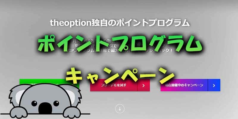 ザオプション(THE OPTION)でのキャッシュバックキャンペーンその4.ポイントプログラム