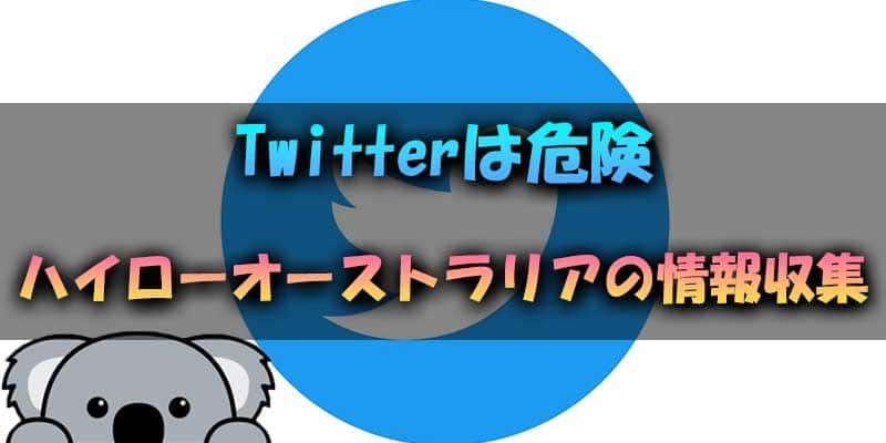 Twitterは危険？ハイローオーストラリアの情報収集で気をつけたいこと